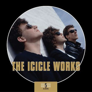 ICICLE WORKS - Just Can