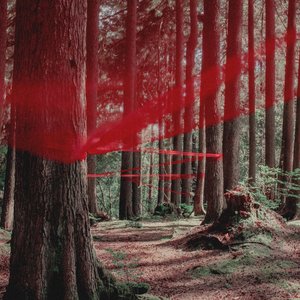 In Melancholy - Single