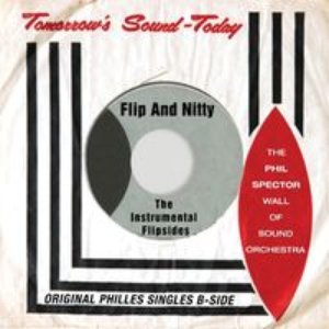 Flip and Nitty - the Instrumental Flipsides