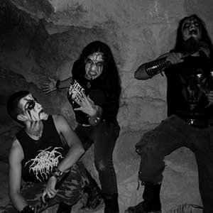 Morbid Pest 的头像