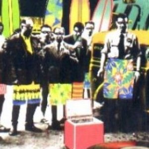 The Legendary Masked Surfers 的头像