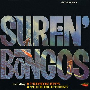 Surfin' Bongos (Stereo)