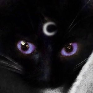 Avatar for universe(@universesrevenge)