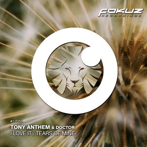 I Love It / Tears of Mine (feat. Doktor) [Extended Mix] - Single