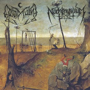 In the Valley of Death, Where Black Metal Is King