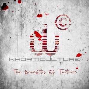 The Benefits of Torture - Single