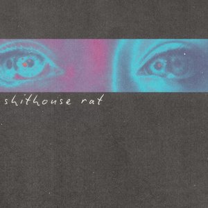 Shithouse Rat