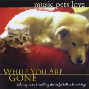 While You Are Gone
