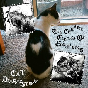 Cat Depression