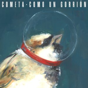 Como un gorrión