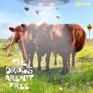 The Drugs Aren't Free - Single