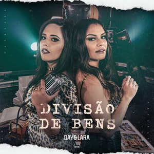 Artwork for Divisão de bens
