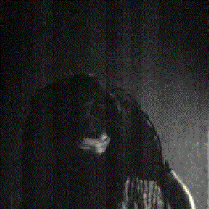 Gruntsplatter photo provided by Last.fm