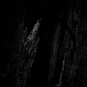 Split Identities