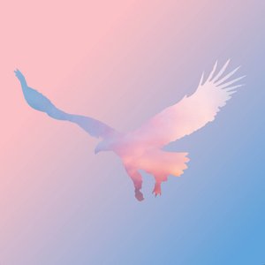 Momentum