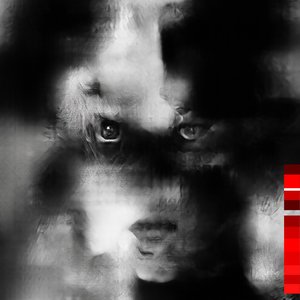 Shake the Glass - Single