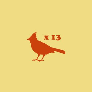 Thirteen Birds 的头像