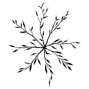 Caos del Té 的头像