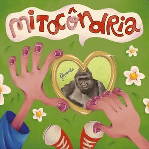Harambe