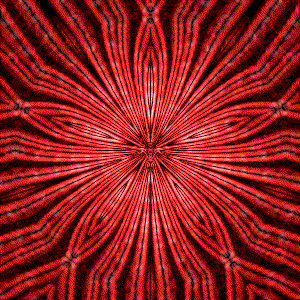 Avatar for Supa Fova