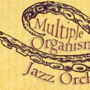 Multiple Organism Jazz Orchestra 的头像
