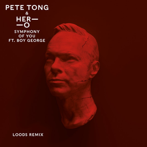 Pete Tong - Symphony Of You - Zortam Music