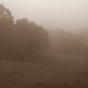 Into the Solitude