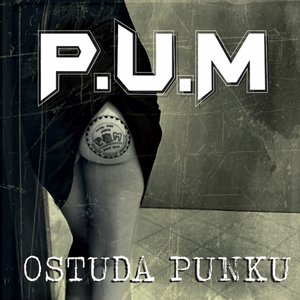 Ostuda punku