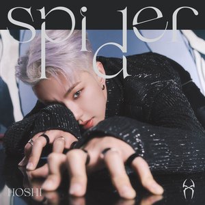 Spider - Single