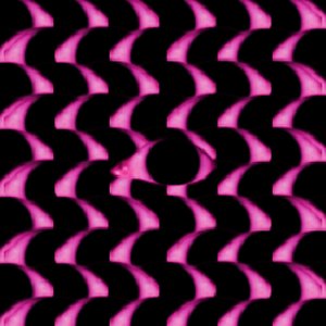 Flamant Rose - Single