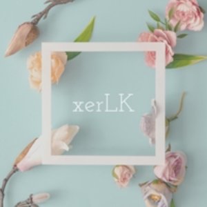 xerLK 的头像