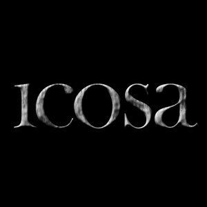 Avatar for icosa
