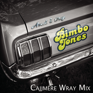 Bimbo Jones - Papeete Beach Compilation Summ - Zortam Music