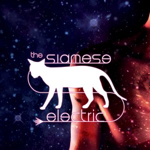 The Siamese Electric