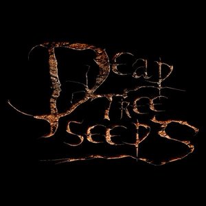 Avatar de Dead Tree Seeds