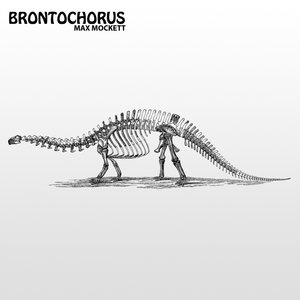 Brontochorus