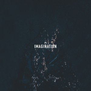 Imagination