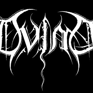 Dvina 的头像