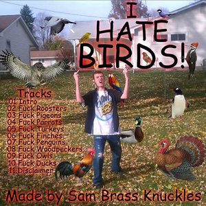 Image for 'I Hate Birds'