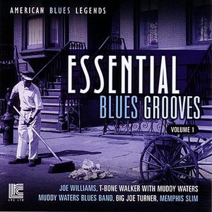 Essential Blues Grooves Vol. 1