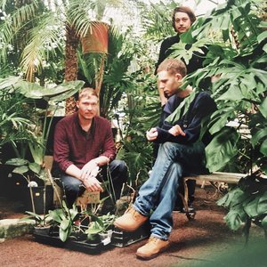 Аватар для The Radio Dept.