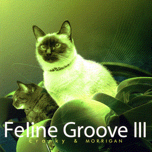 Feline Groove III cover