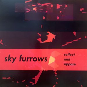 Reflect and Oppose