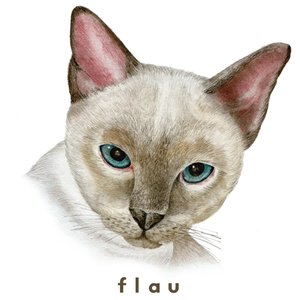 Avatar for _flau