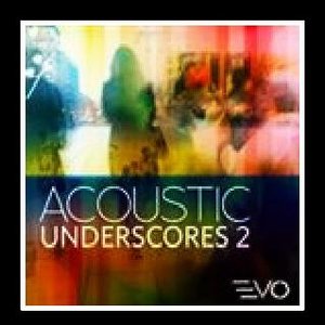 Image for 'Acoustic Underscores 2'