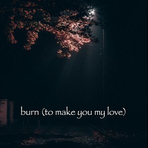 burn (to make you my love)