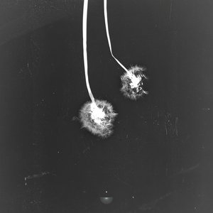 Put You Back Together - Single