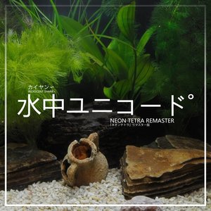 水中ユニコード˚ [ NEON TETRA REMASTER ]