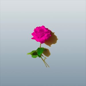 Wallflower - Single