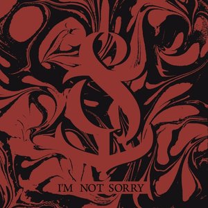 I'm Not Sorry - Single
